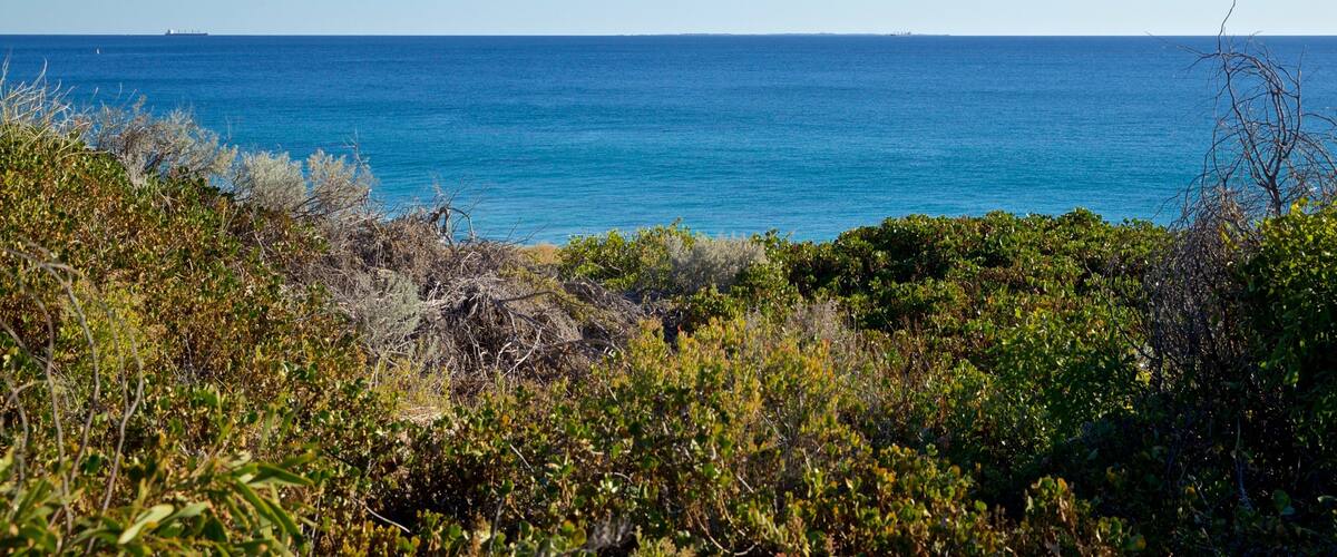 City Beach showing general coastal views