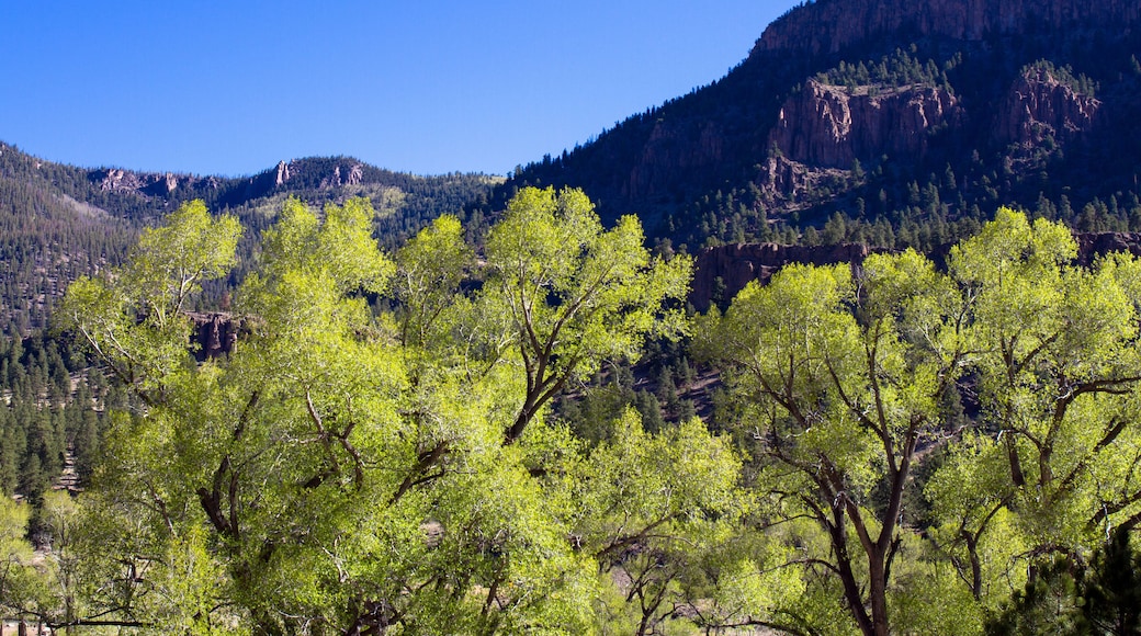 Área de vida silvestre estatal Coller