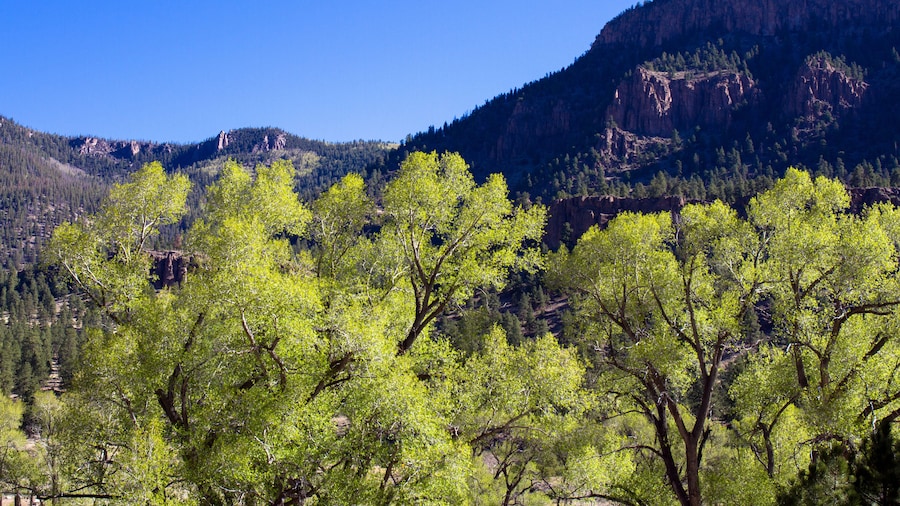 منطقة كولر الحكومية للحياة البرية