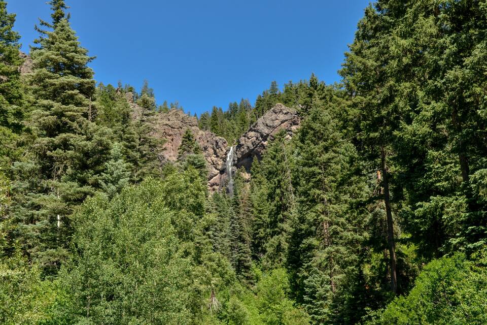 Un bosque con una cascada que se precipita por un acantilado rocoso.
