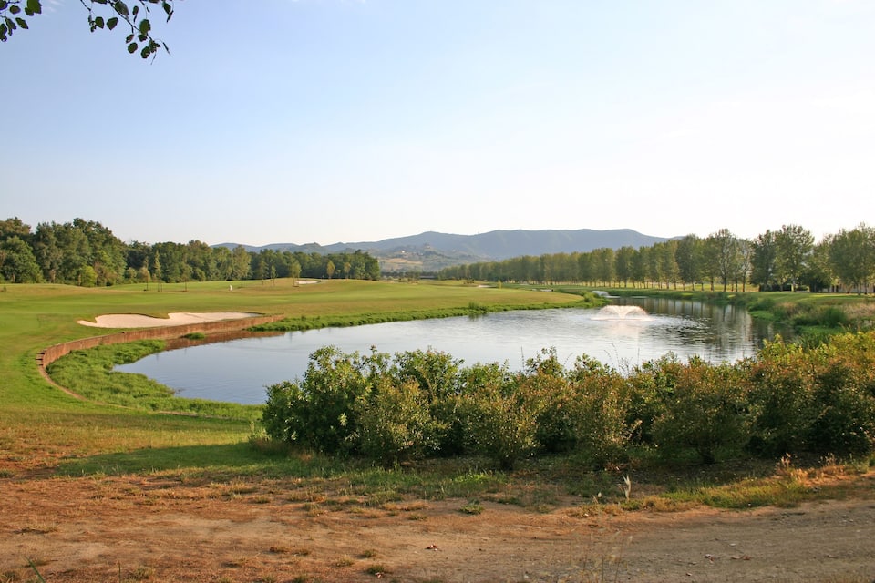 Een meer omgeven door groene velden en bomen, met bergen op de achtergrond.