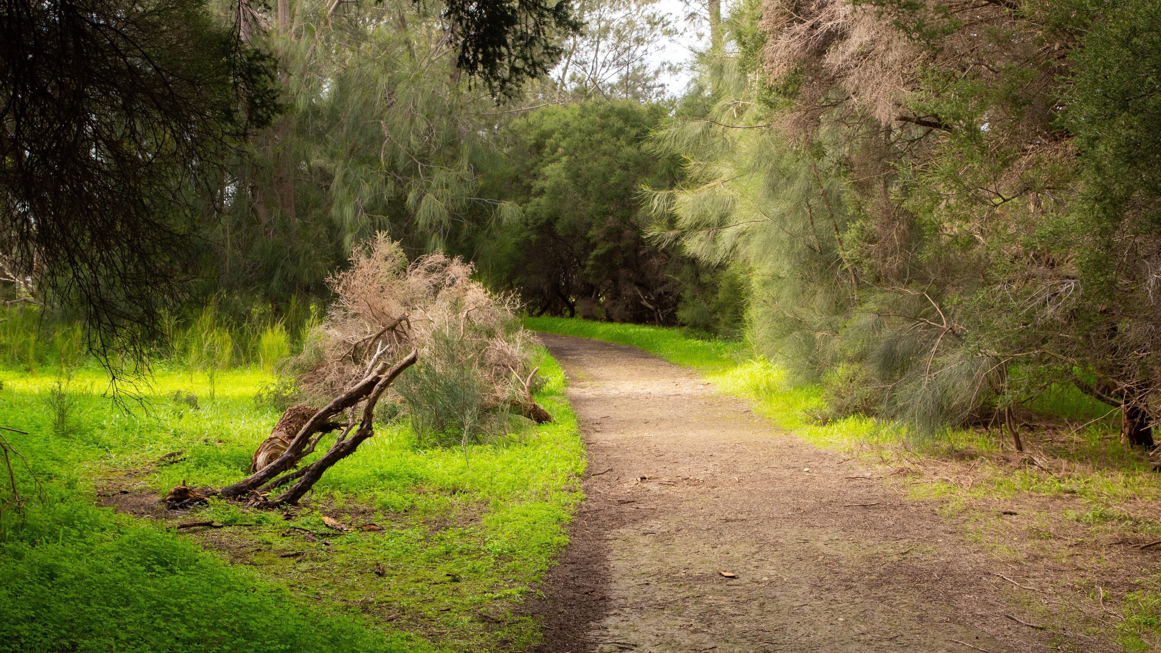 Heirisson Island showing a park