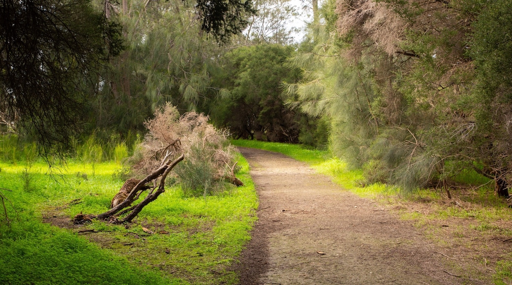 Heirisson Island showing a park