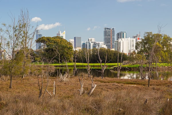 Heirisson Island showing a city and a river or creek