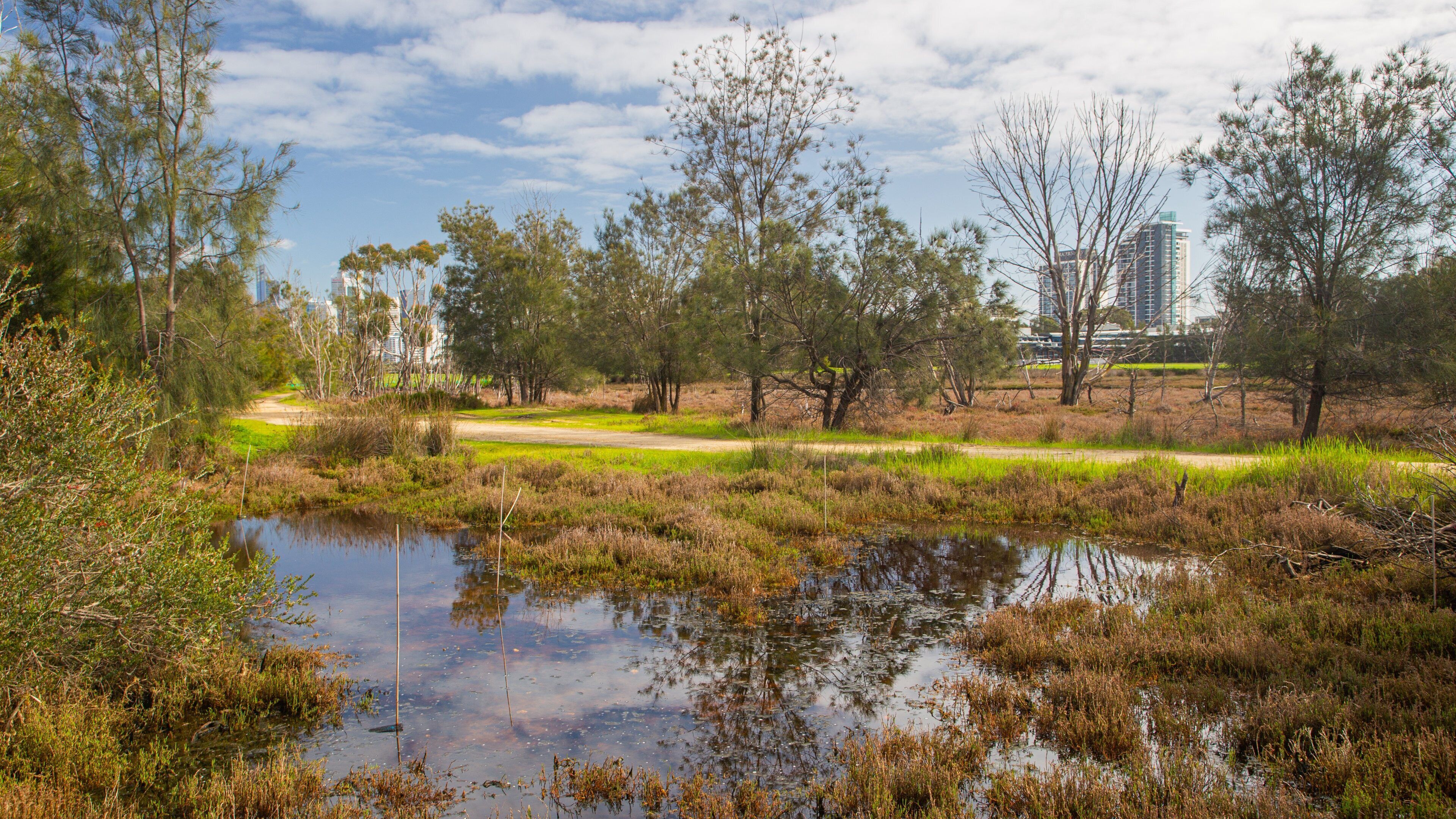 Heirisson Island showing a pond
