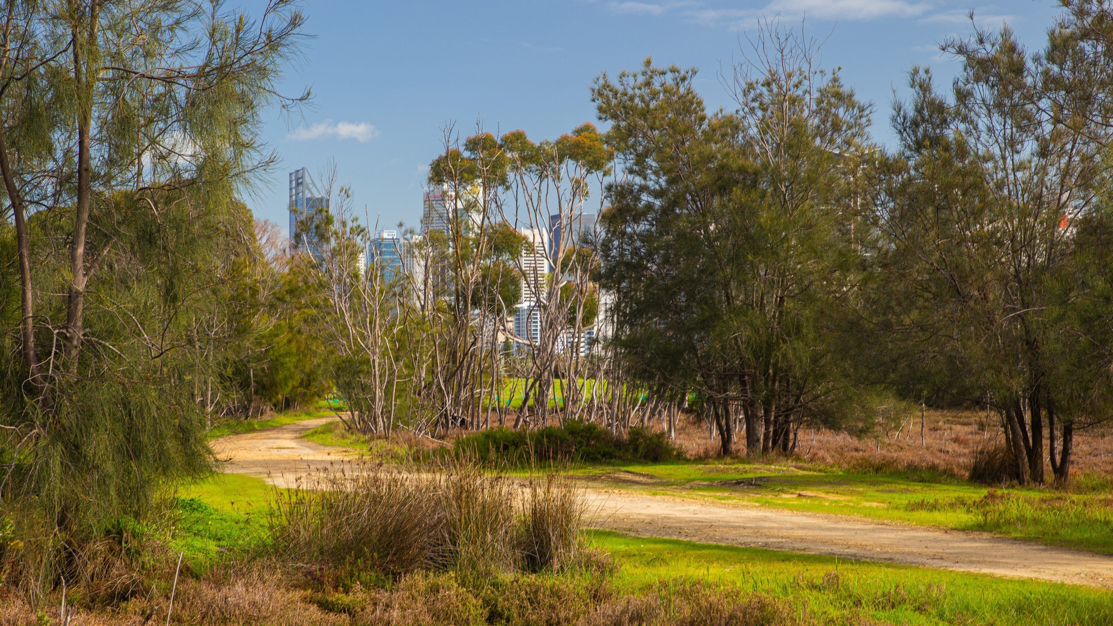 Heirisson Island showing a park