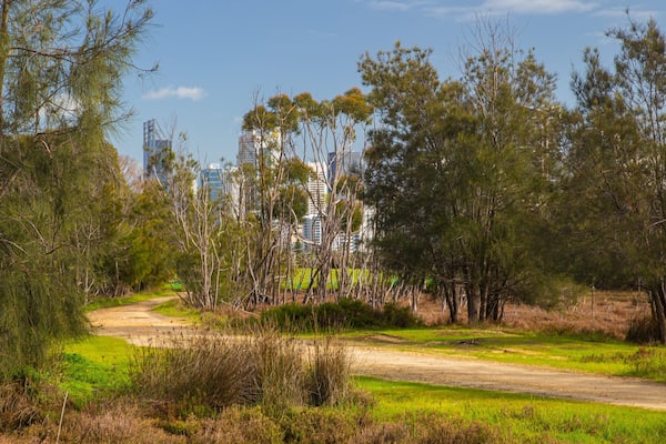 Heirisson Island showing a park
