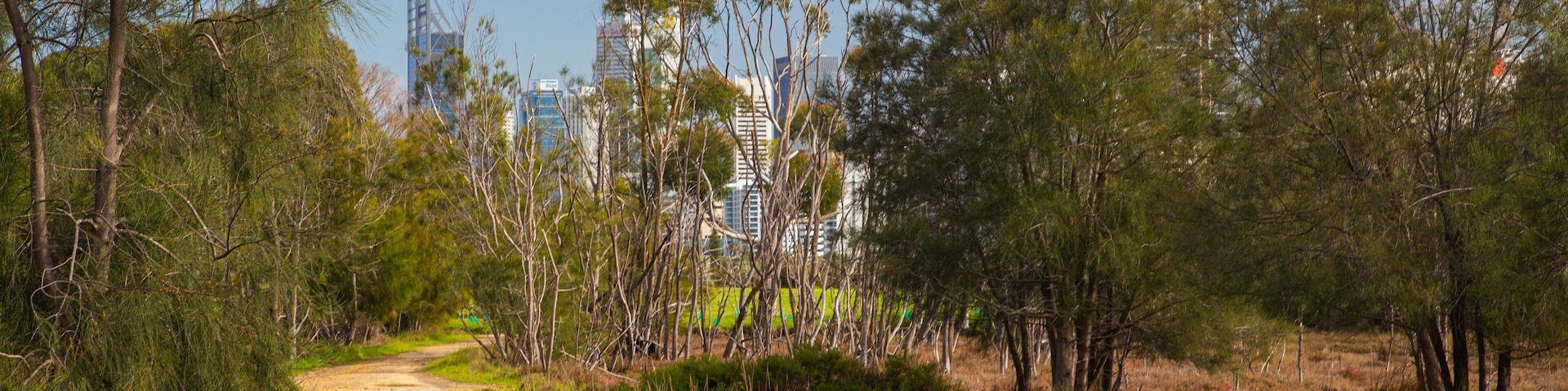 Heirisson Island showing a park