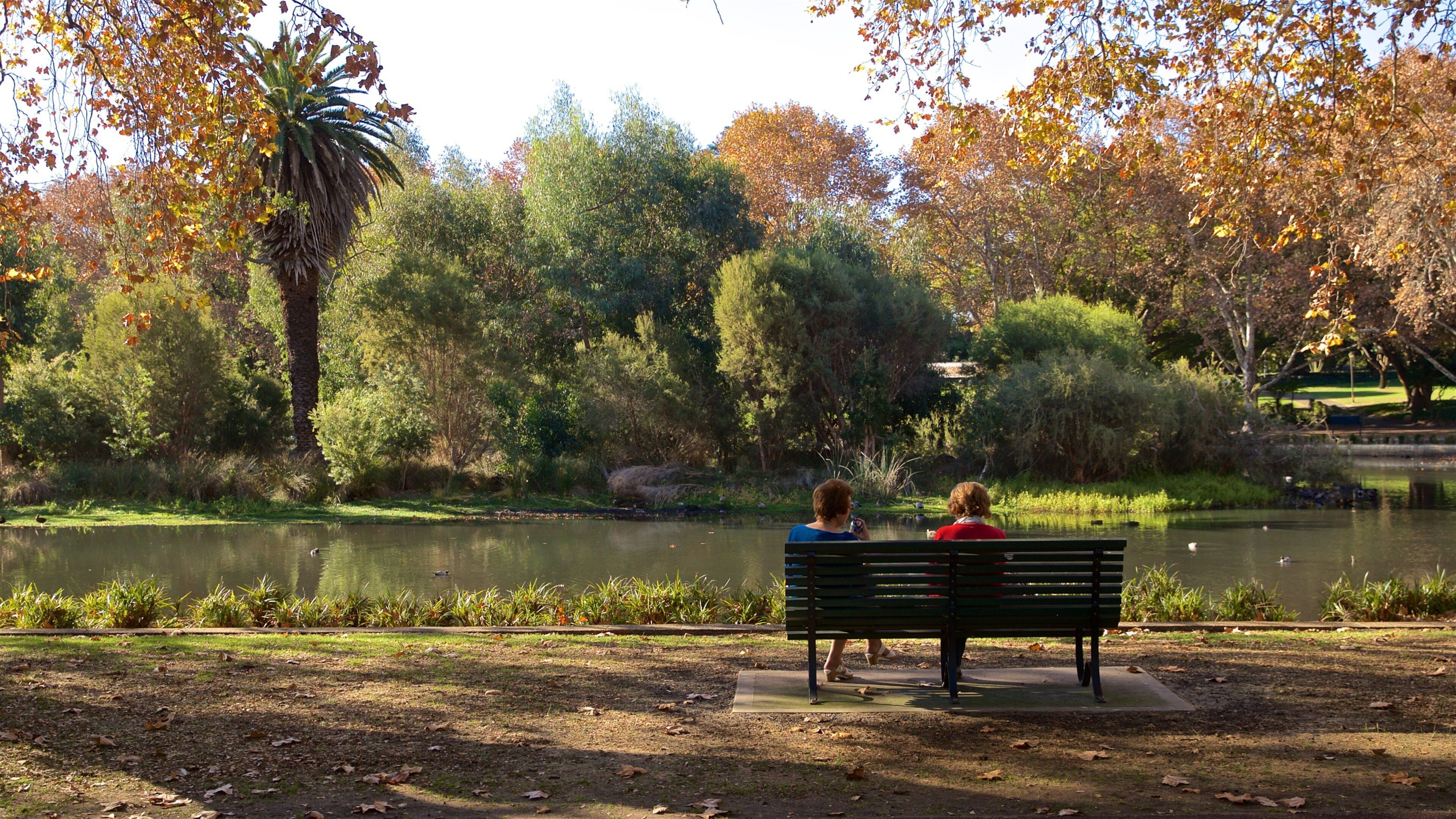 Hyde Park which includes a pond and a park as well as a couple
