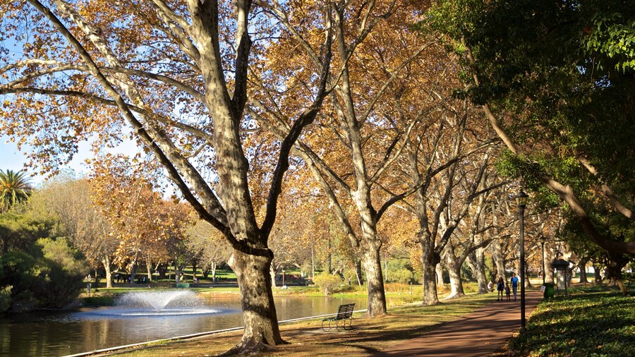 Hyde Park which includes a pond, a park and fall colors