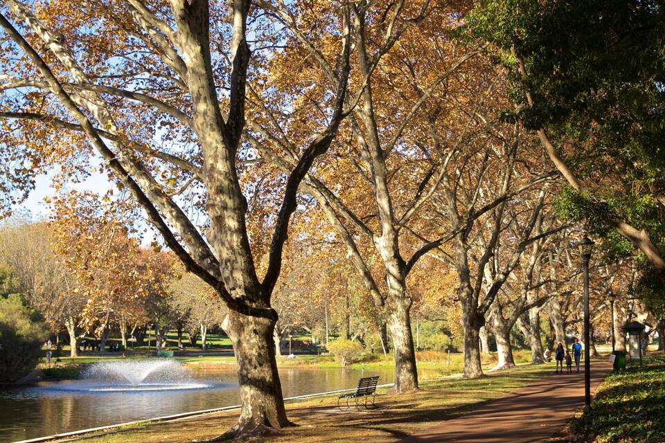 A park with a lake, trees, a bench, and a walking path.