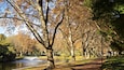A park with a lake, trees, a bench, and a walking path.