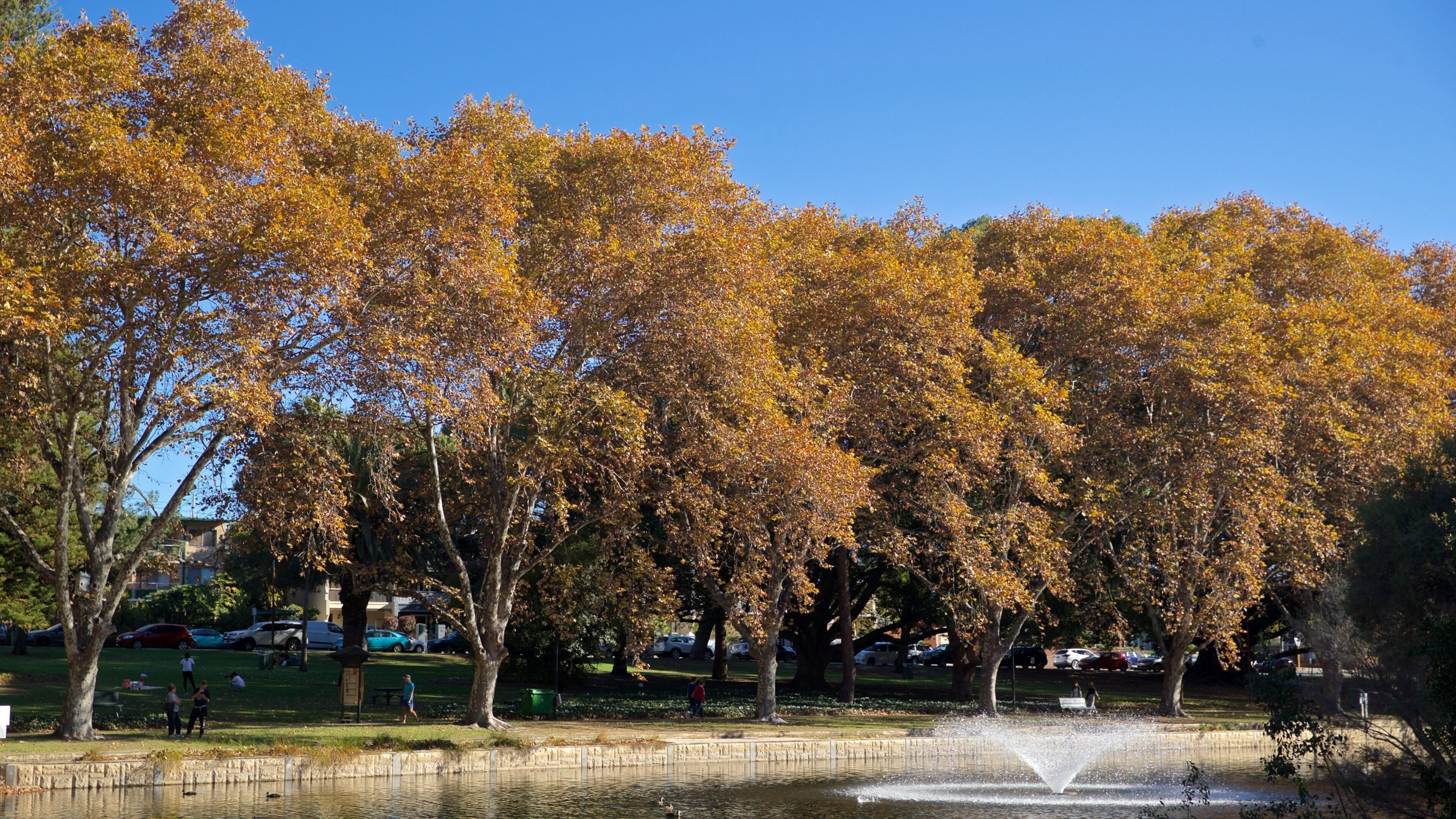 Hyde Park which includes a lake or waterhole, a fountain and fall colors