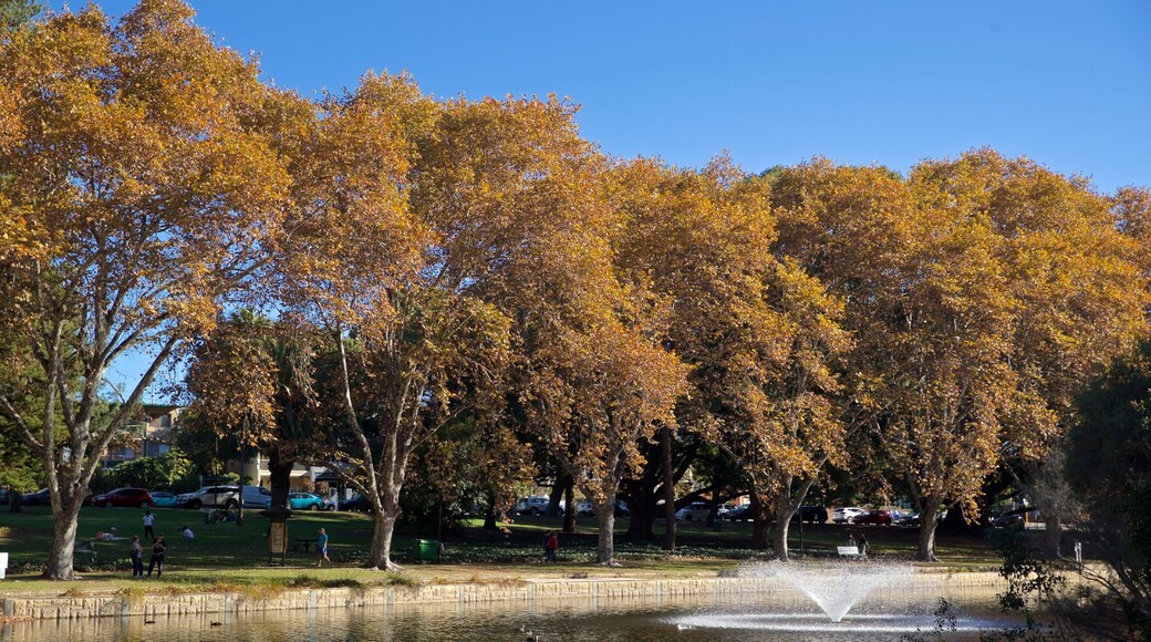 Hyde Park which includes a lake or waterhole, a fountain and fall colors