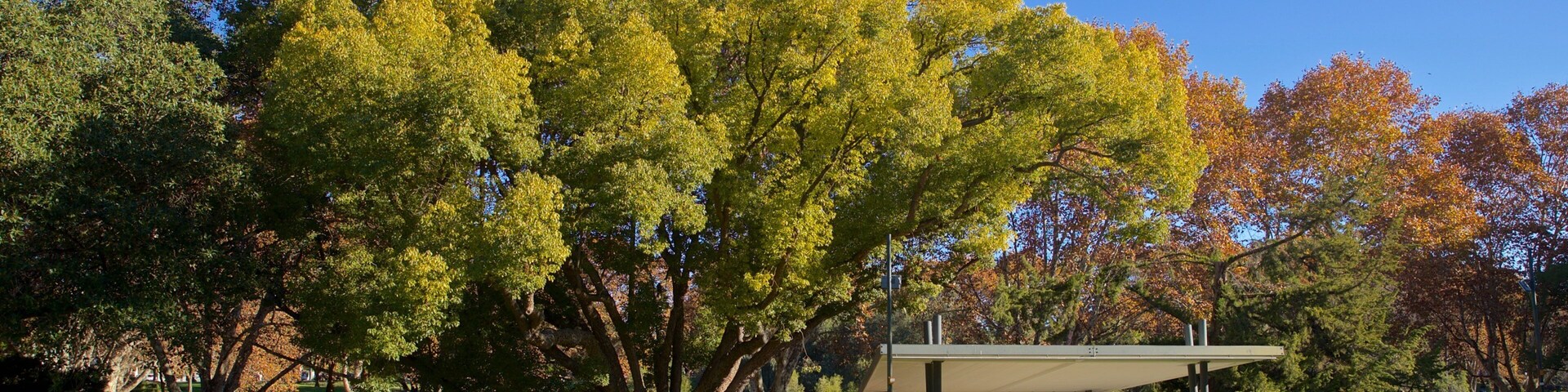 Hyde Park which includes a park