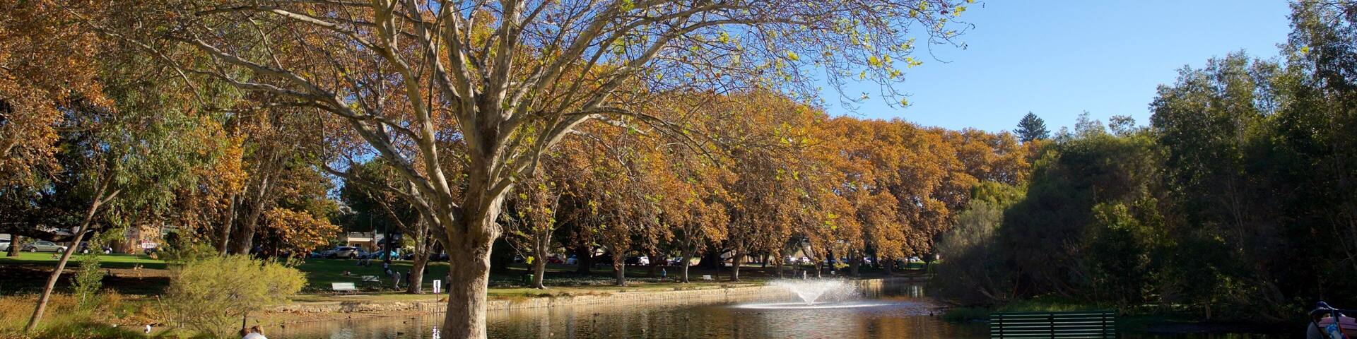 Hyde Park featuring a park, a pond and a fountain