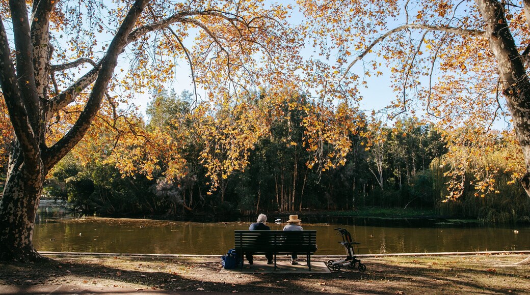 Hyde Park featuring a park, autumn leaves and a pond