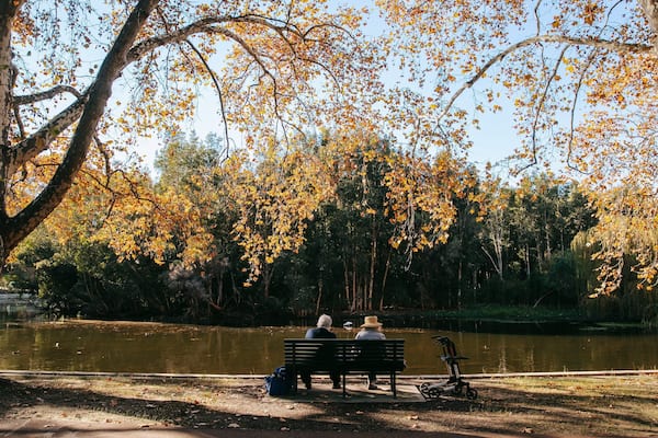 Hyde Park featuring a park, autumn leaves and a pond