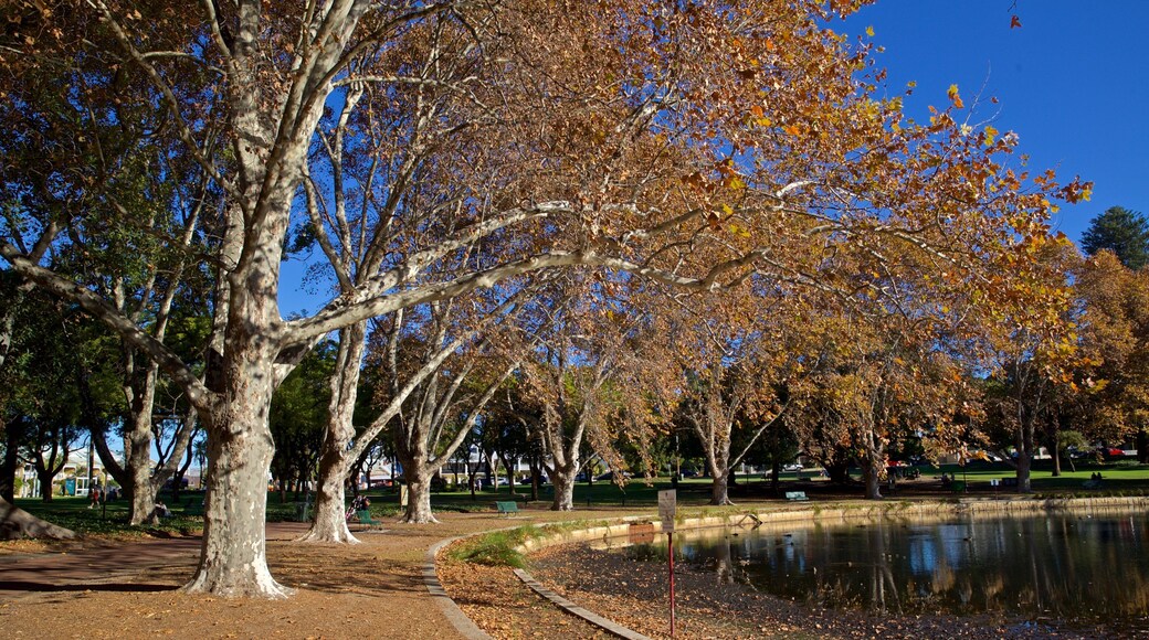 Hyde Park featuring a pond, autumn leaves and a park