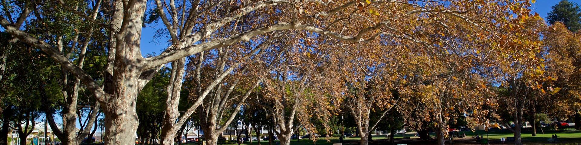 Hyde Park featuring a pond, autumn leaves and a park