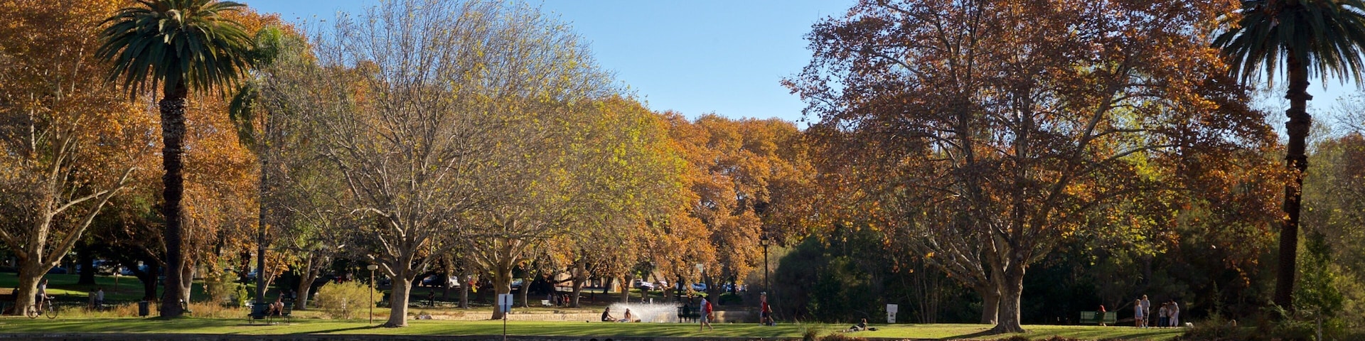 Hyde Park showing a pond, a park and autumn leaves