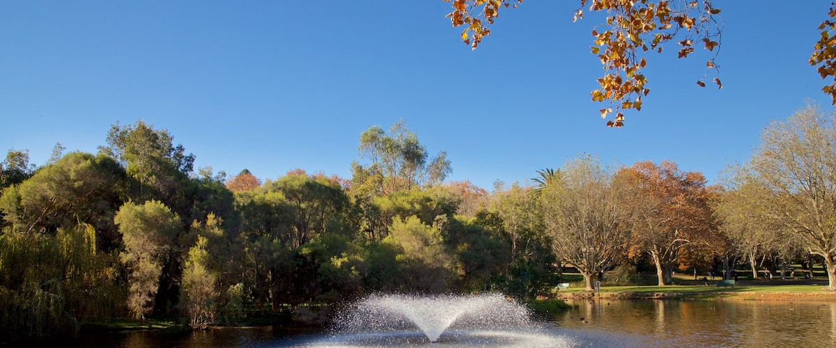 Hyde Park featuring a lake or waterhole and a fountain