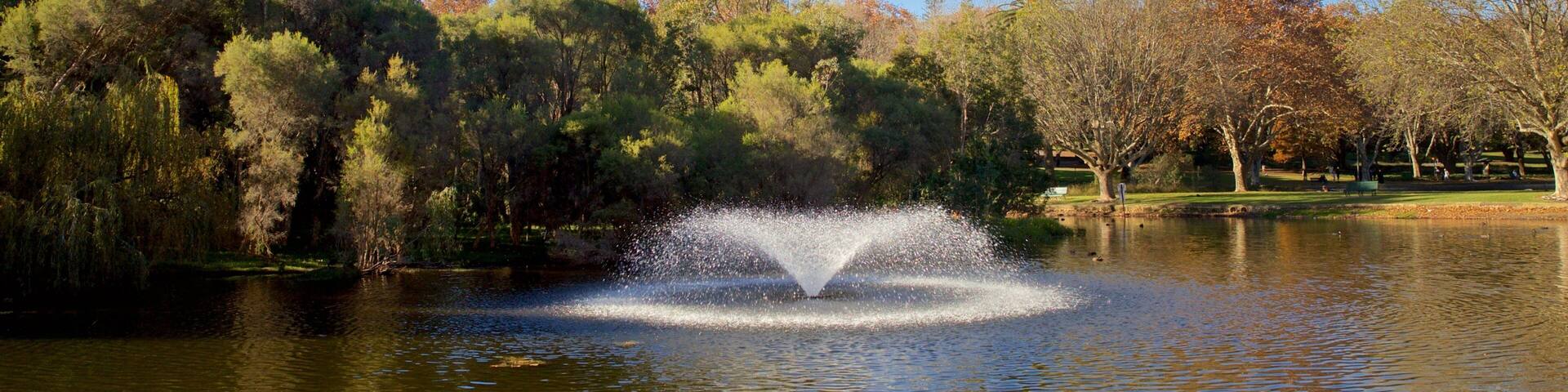 Hyde Park featuring a lake or waterhole and a fountain