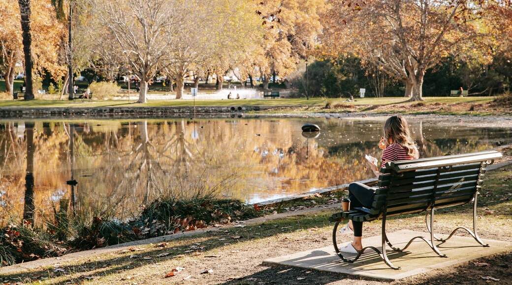 Hyde Park which includes a garden and a pond as well as an individual femail