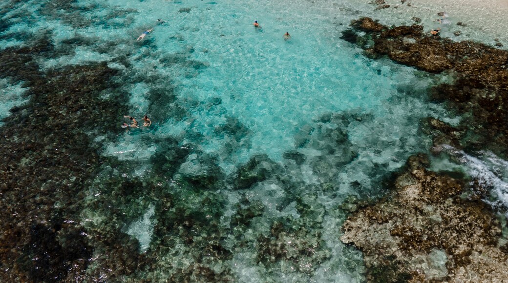 North Beach