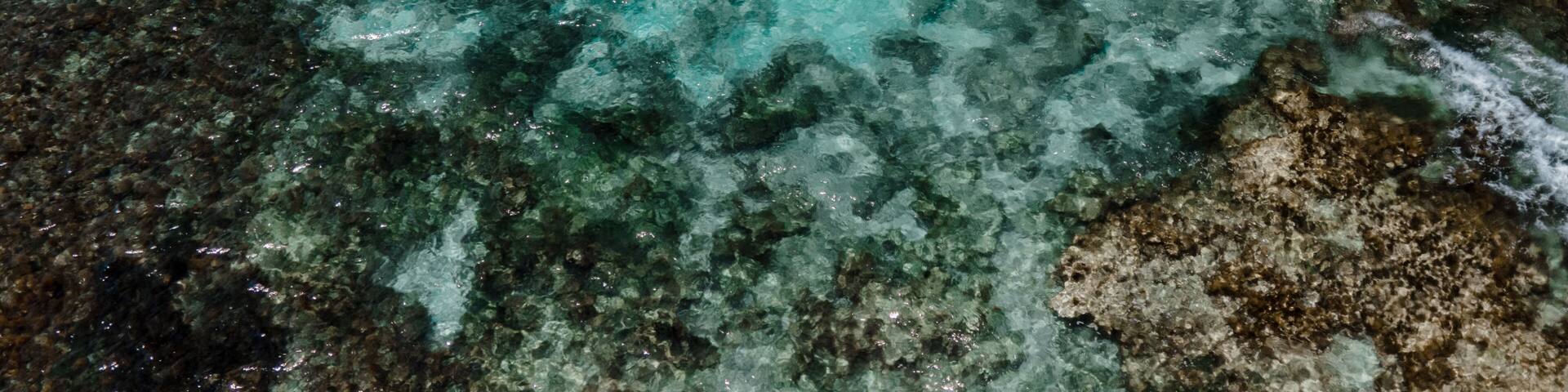 Mettams Pool Snorkelling Western Australia