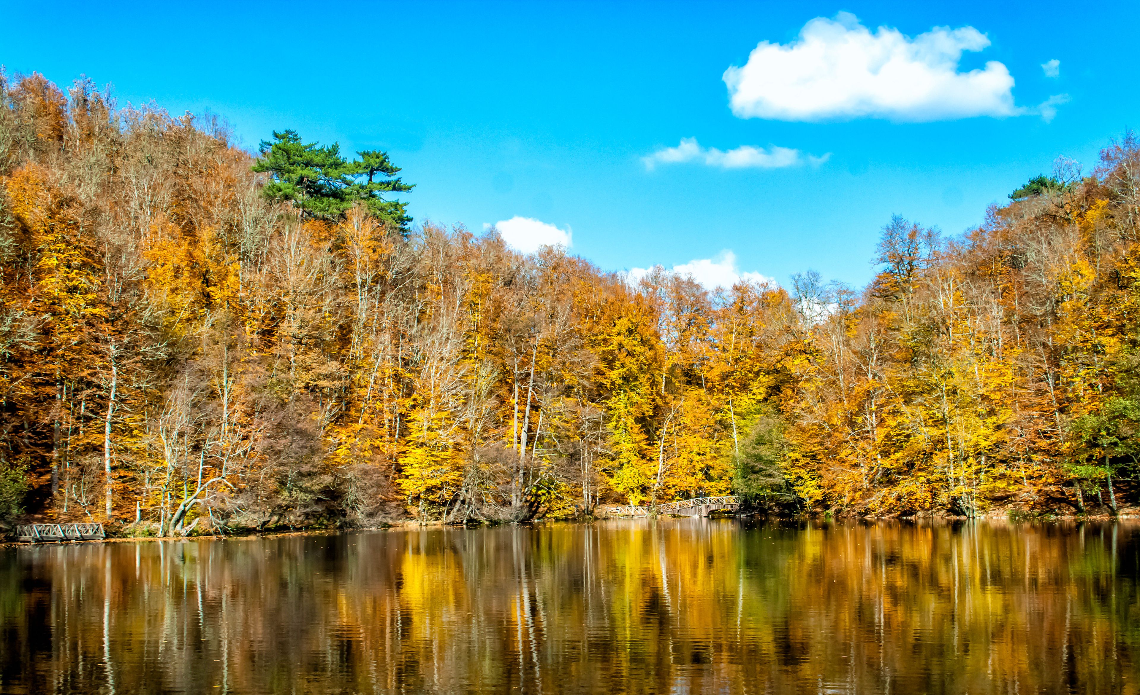 A calm lake surrounded by autumn-colored trees and a clear blue sky.