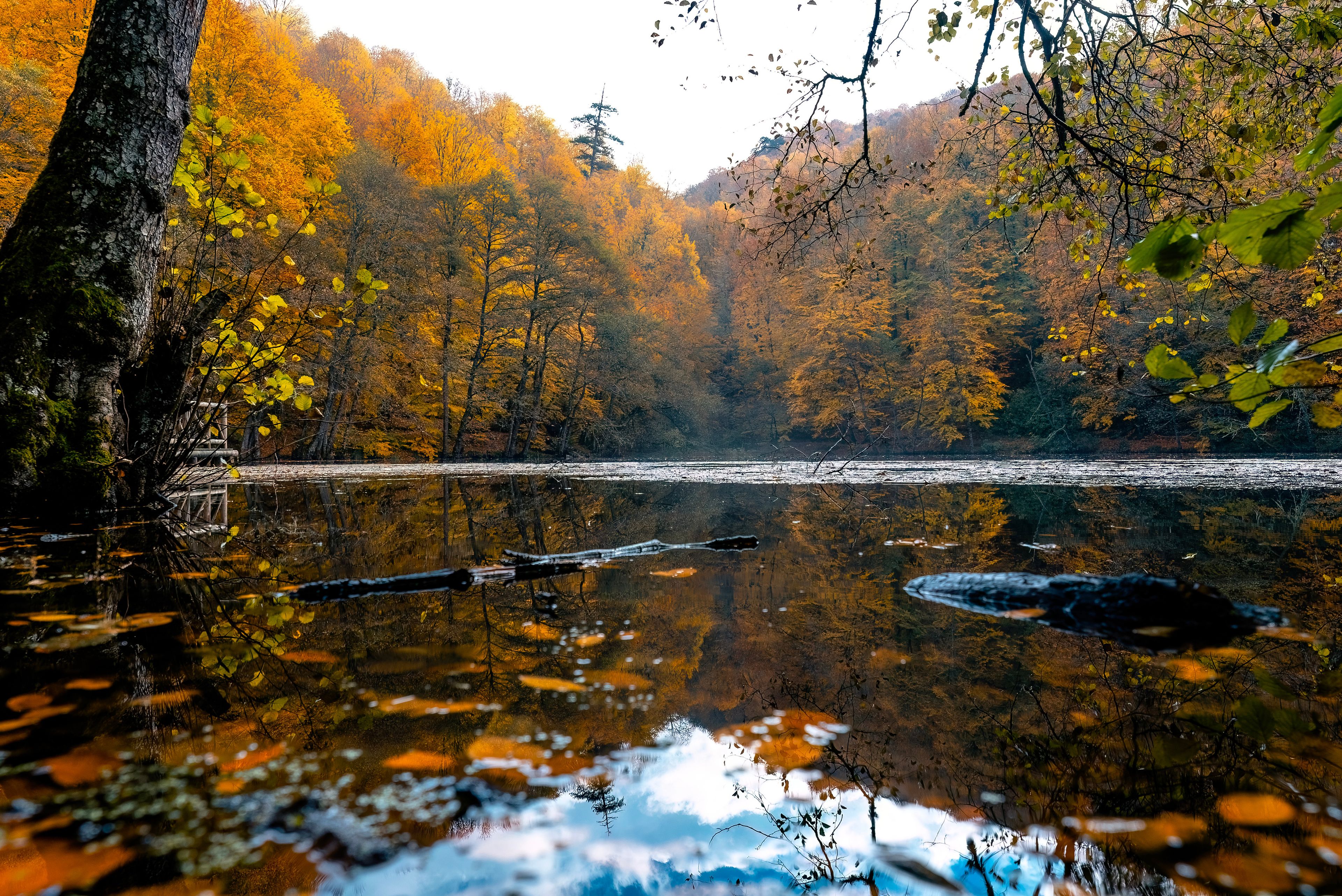 A serene lake surrounded by autumn-colored trees, a wooden dock, and a clear reflection of the sky.