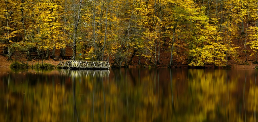 A calm lake with a wooden bridge, surrounded by trees with autumn foliage.