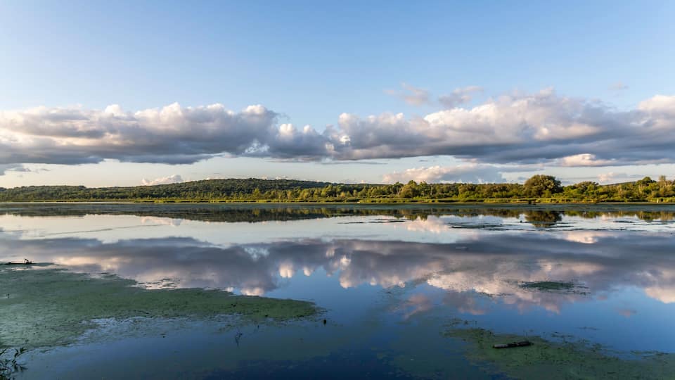 A calm lake with a reflection of the sky and clouds, surrounded by a forested landscape.
