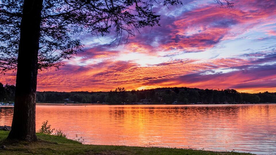 A sunset over a calm lake with a tree in the foreground and a forested hill in the background.