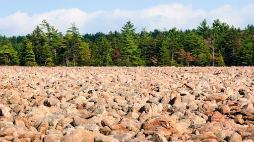 Hickory Run State Park