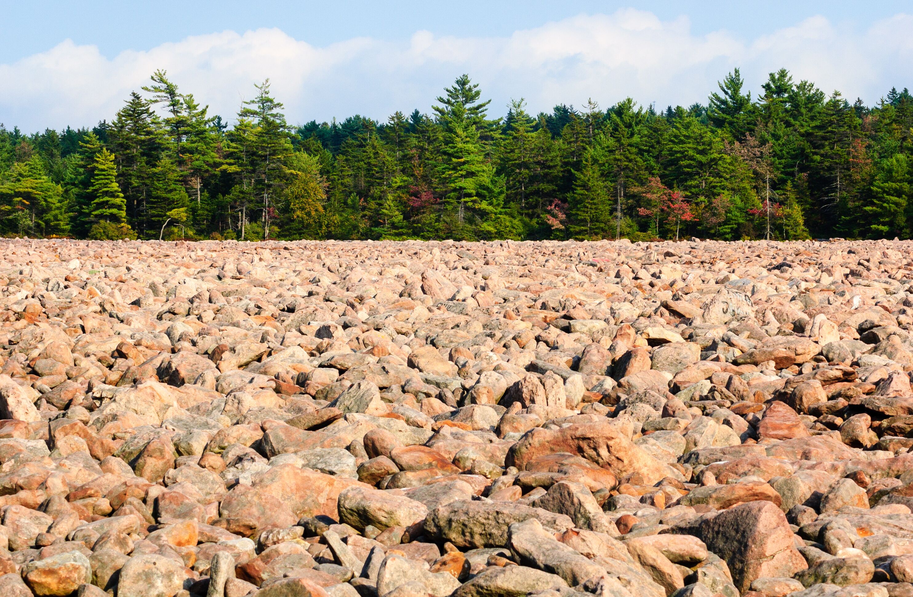 A rocky terrain with a forest in the background.