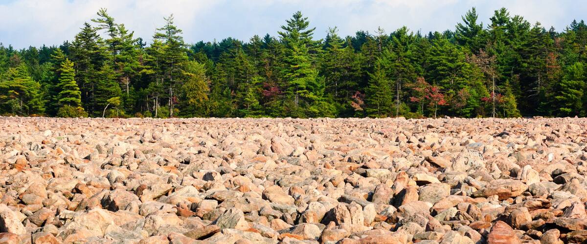 A rocky terrain with a forest in the background.
