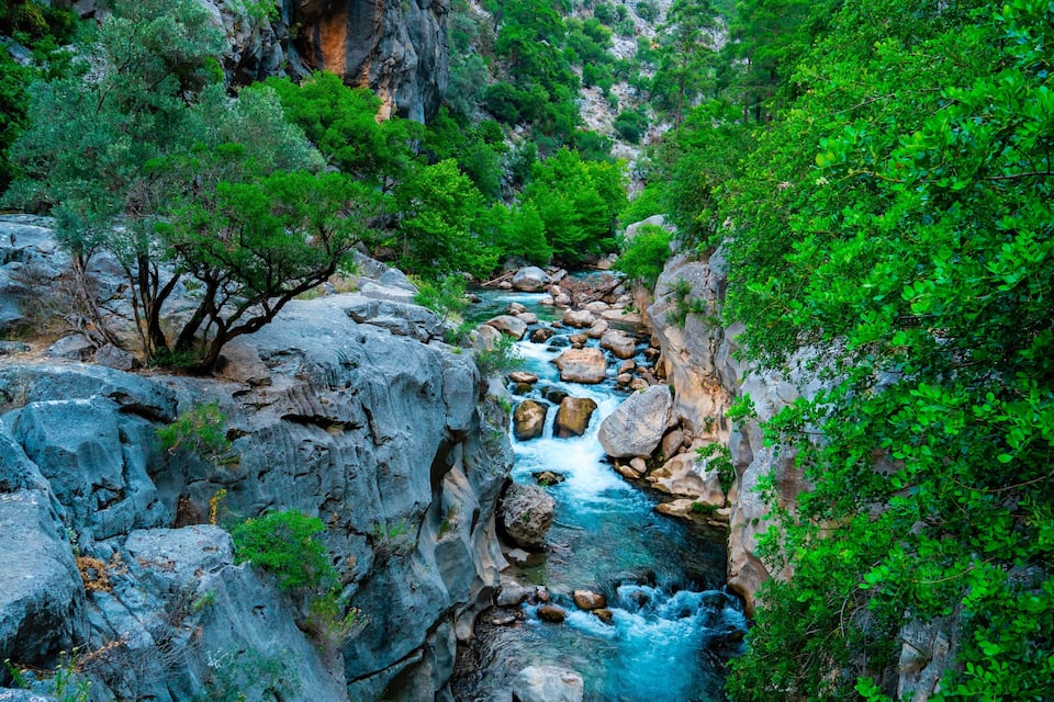 Un río serpentea por un desfiladero rocoso con exuberantes árboles verdes.