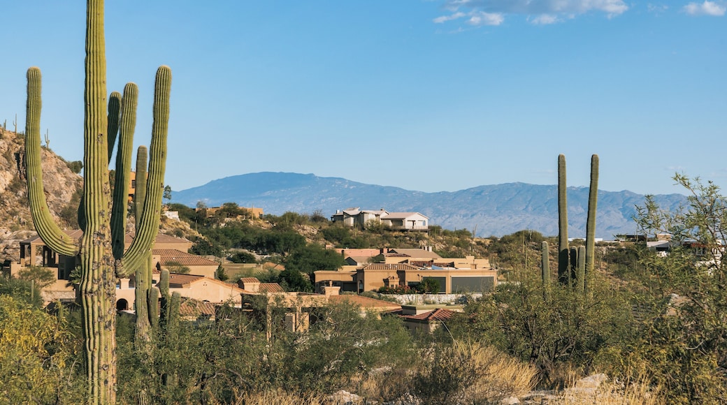 Een woestijnlandschap met hoge cactussen, een groep gebouwen en bergen op de achtergrond.