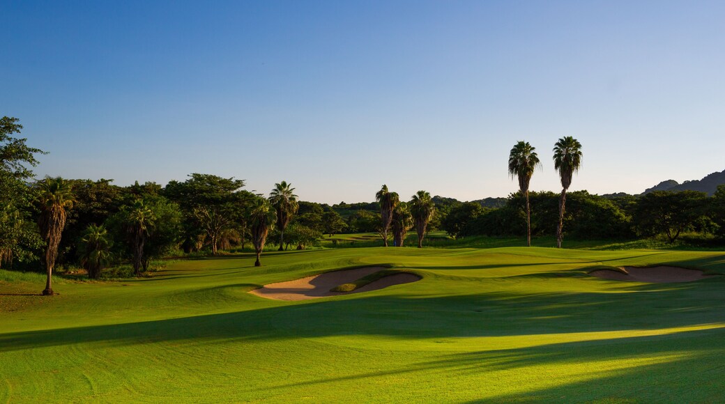 la marina puerto vallarta