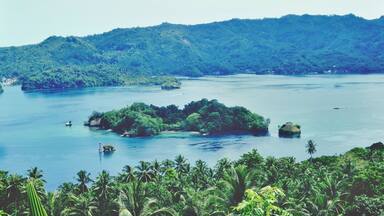 A tropical landscape with a large body of water, surrounded by lush green hills and palm trees.