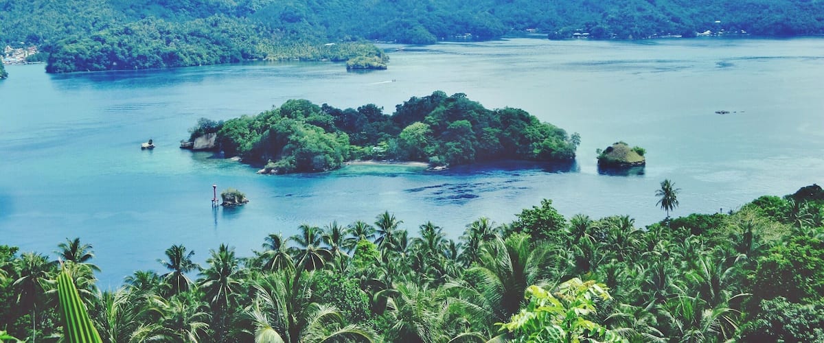 A tropical landscape with a large body of water, surrounded by lush green hills and palm trees.