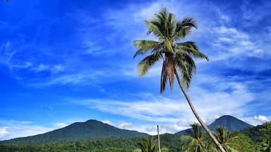• Gunung Dua Saudara •
In English it is literallly translated as Two brother/sister mountain. I know it sounds ridiculous!
People name this mountain Dua Saudara because there are two mountains next to each other. Not far from these mountains there is Mount Klabat, the highest mountain in Minahasa Peninsula of North Sulawesi.
This area is protected by government to provide home for wild animals that only can be found in Sulawesi, such as Tarsiers, Macacas Nigra, and others.
The famous wildlife area is Tangkoko nature and wildlife reserve. It attracts volunteers from around the world to help locals protect and study these unique animals, such as documenting, providing medicines, campaigns and taking care of these unique animals.
If you are a nature enthusiast, this area is an exciting destination. For more information, you may look it up on the internet, Batuputih, Tangkoko nature and wildlife reserve.
Accommodation is very basic if you decided to stay in this area. But there are several nice cottages along Lembeh Straits, where is near from Tangkoko nature and wildlife reserve.
What to do?
There are plenty of beautiful sites in this natural reserve including beaches, jungles, waterfall, mountains and others but you will need a guide to guide you in this wilderness. Furthermore, since it's located near Lembeh Strait, diving is a must.