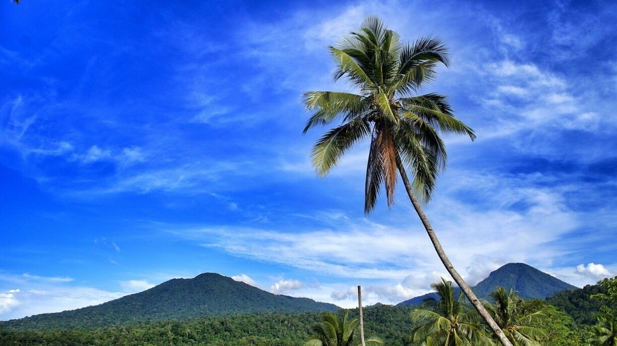 • Gunung Dua Saudara •
In English it is literallly translated as Two brother/sister mountain. I know it sounds ridiculous!
People name this mountain Dua Saudara because there are two mountains next to each other. Not far from these mountains there is Mount Klabat, the highest mountain in Minahasa Peninsula of North Sulawesi.
This area is protected by government to provide home for wild animals that only can be found in Sulawesi, such as Tarsiers, Macacas Nigra, and others. 
The famous wildlife area is Tangkoko nature and wildlife reserve. It attracts volunteers from around the world to help locals protect and study these unique animals, such as documenting, providing medicines, campaigns and taking care of these unique animals.
If you are a nature enthusiast, this area is an exciting destination. For more information, you may look it up on the internet, Batuputih, Tangkoko nature and wildlife reserve.
Accommodation is very basic if you decided to stay in this area. But there are several nice cottages along Lembeh Straits, where is near from Tangkoko nature and wildlife reserve.
What to do?
There are plenty of beautiful sites in this natural reserve including beaches, jungles, waterfall, mountains and others but you will need a guide to guide you in this wilderness. Furthermore, since it's located near Lembeh Strait, diving is a must.