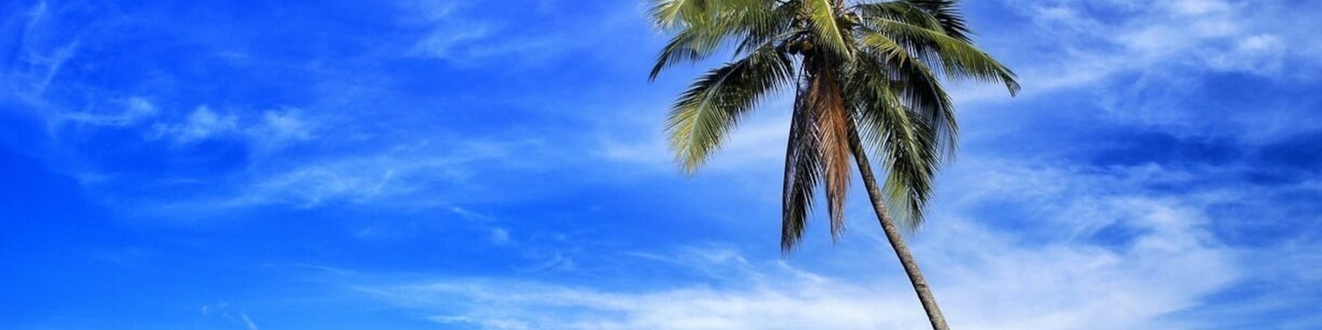 • Gunung Dua Saudara •
In English it is literallly translated as Two brother/sister mountain. I know it sounds ridiculous!
People name this mountain Dua Saudara because there are two mountains next to each other. Not far from these mountains there is Mount Klabat, the highest mountain in Minahasa Peninsula of North Sulawesi.
This area is protected by government to provide home for wild animals that only can be found in Sulawesi, such as Tarsiers, Macacas Nigra, and others. 
The famous wildlife area is Tangkoko nature and wildlife reserve. It attracts volunteers from around the world to help locals protect and study these unique animals, such as documenting, providing medicines, campaigns and taking care of these unique animals.
If you are a nature enthusiast, this area is an exciting destination. For more information, you may look it up on the internet, Batuputih, Tangkoko nature and wildlife reserve.
Accommodation is very basic if you decided to stay in this area. But there are several nice cottages along Lembeh Straits, where is near from Tangkoko nature and wildlife reserve.
What to do?
There are plenty of beautiful sites in this natural reserve including beaches, jungles, waterfall, mountains and others but you will need a guide to guide you in this wilderness. Furthermore, since it's located near Lembeh Strait, diving is a must.