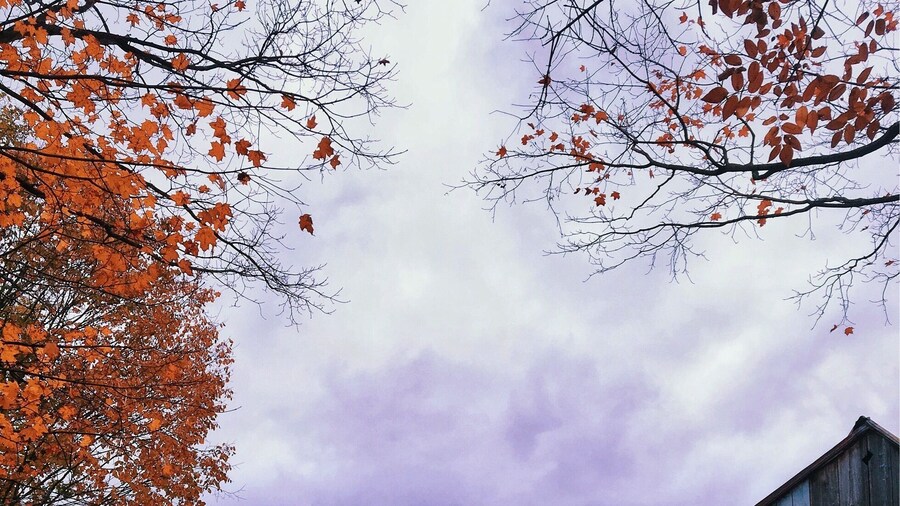 Gorgeous view everywhere #autumn #fall #roadtrip #travel #adventure #colorful #vermont