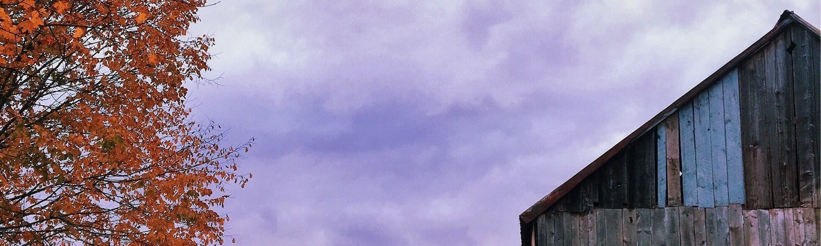 Gorgeous view everywhere #autumn #fall #roadtrip #travel #adventure #colorful #vermont