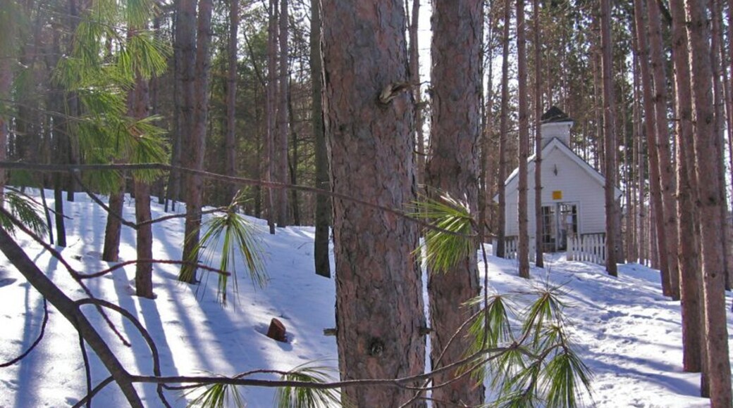 Explore the arts of cheese and syrup-making, try samples, and buy the finished products at this Vermont farm. #snow
