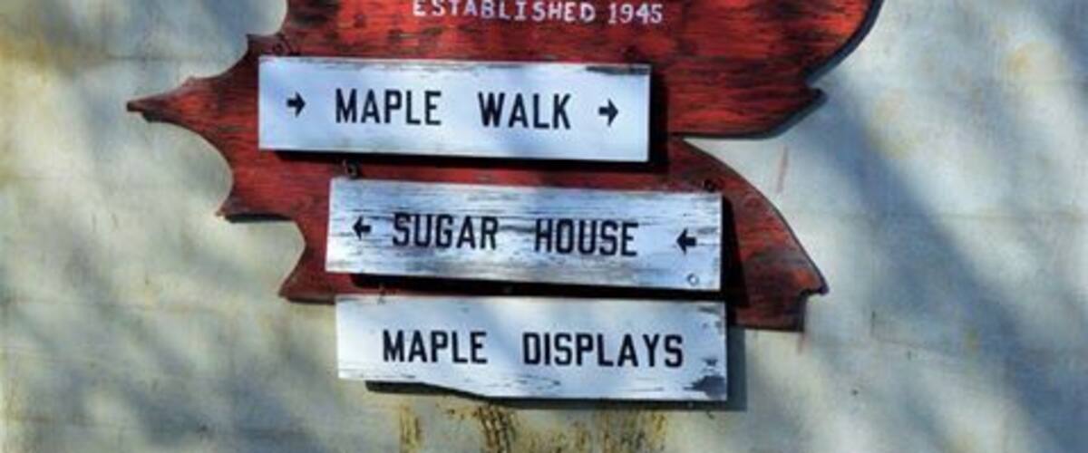 Worth the backwoods drive to this little gem. Free cheese and syrup testing. Tasted an 8 year old sharp cheddar cheese. Stop by the store and grab a few bottles of pure maple syrup.